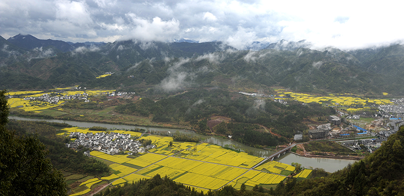 ���ϴ���